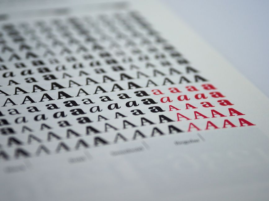 A grid poster comparing light to bold weights of a typeface.